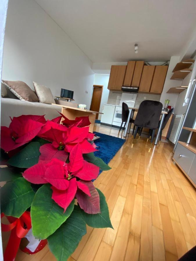 Tea Apartment Σκόπια Εξωτερικό φωτογραφία